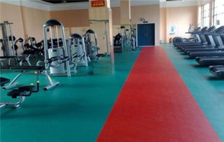 塑膠地板多少錢(qián)一平方 四大優(yōu)點(diǎn)鑄就塑膠地板非凡品質(zhì)